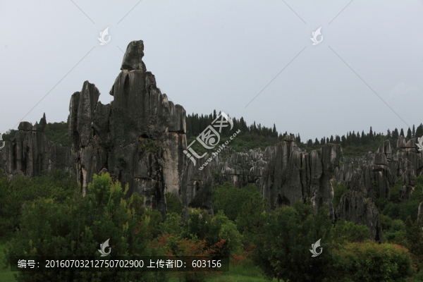 云南,石林