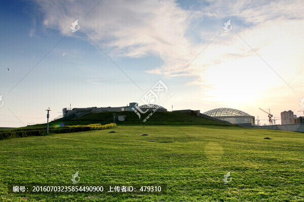 大慶,濕地,草地,城市風(fēng)光