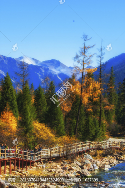 黑水達(dá)古冰山風(fēng)光