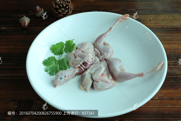 鴣鳥