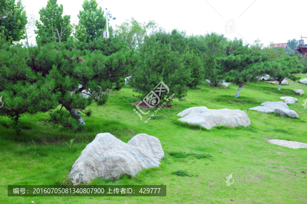 石頭,石頭景觀,園林石