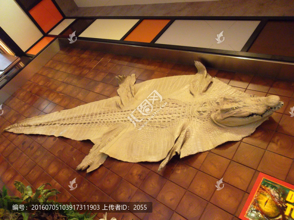 鱷魚皮