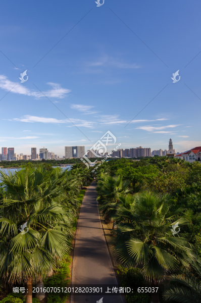 廈門風(fēng)光