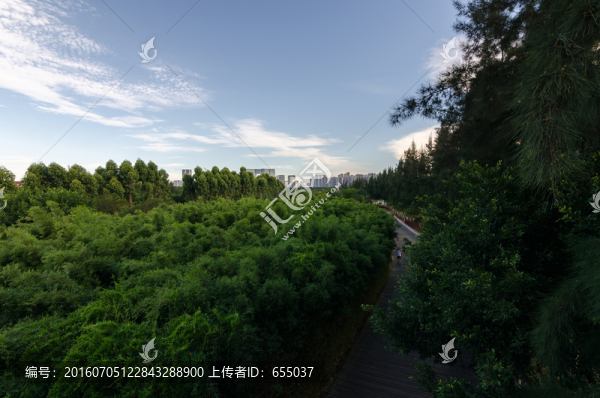 廈門(mén)風(fēng)光
