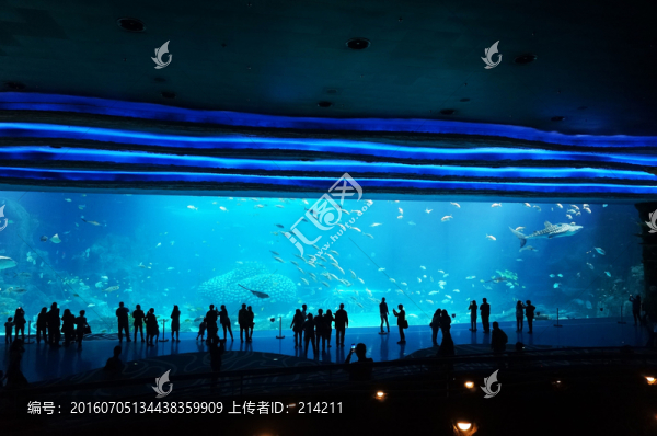 珠海長(zhǎng)隆海洋王國(guó),海底世界