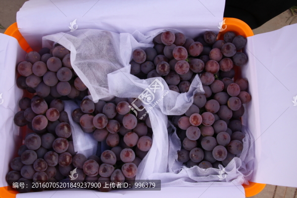 云南熱帶水果紅提葡萄