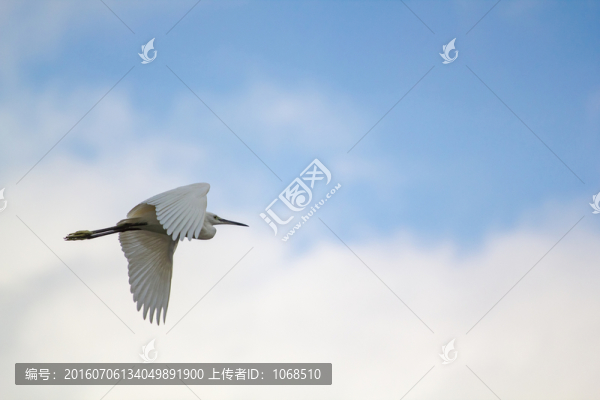 飛翔