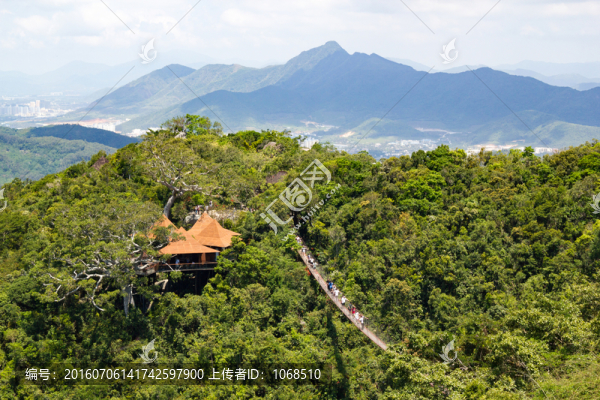龍索橋