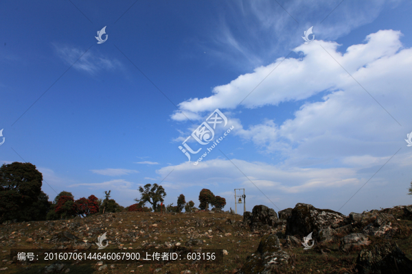 永德大雪山,杜鵑花