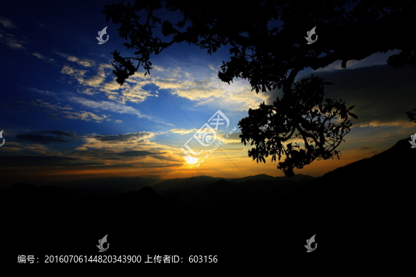 永德大雪山,杜鵑花