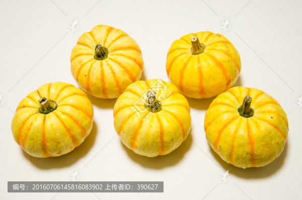 小南瓜