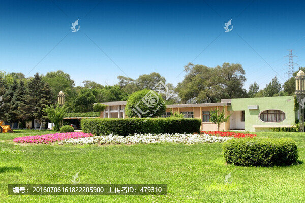 園林,公園,景觀,春天,古建筑