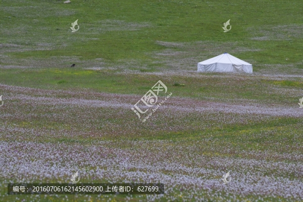 草原風(fēng)光