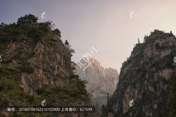 雜尕那