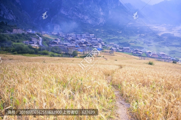 雜尕那