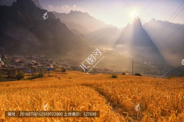 雜尕那
