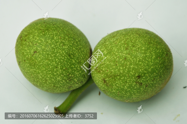 核桃,青皮核桃