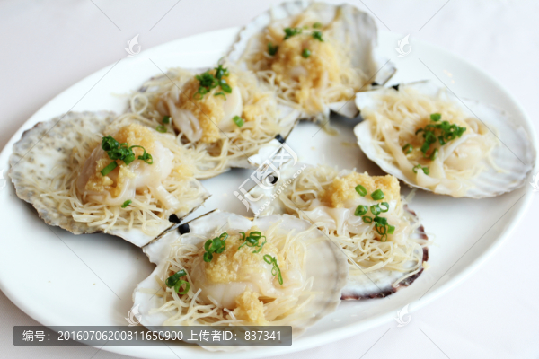 蒜蓉粉絲蒸元貝