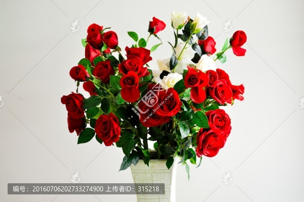 玫瑰花,紅玫瑰