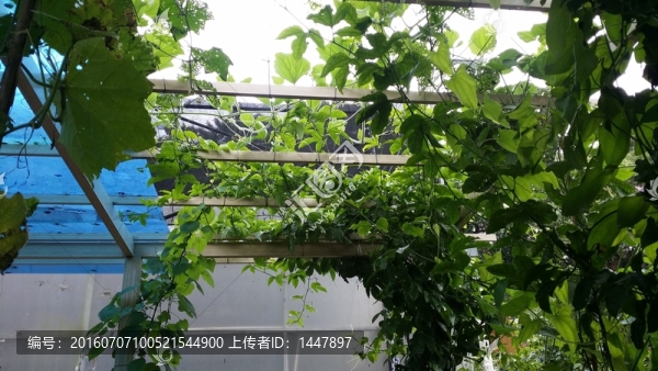 生物科普園