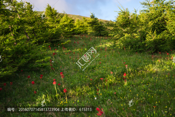 林間空地,海坨山,山水風光