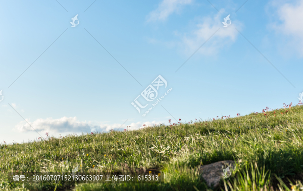 藍(lán)天白云,草原,夏天,海坨山