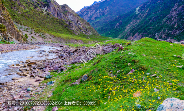 高山陽(yáng)光草地