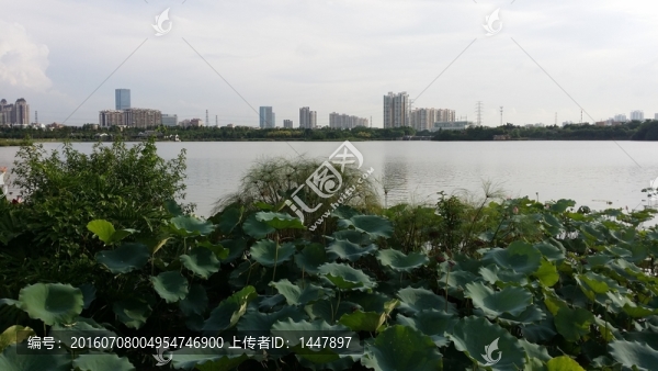 海珠湖