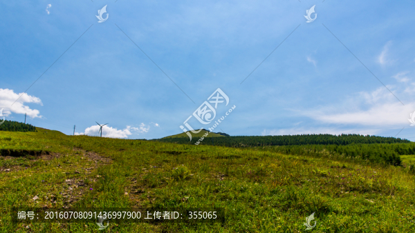 塞北林場