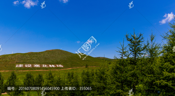 塞北林場