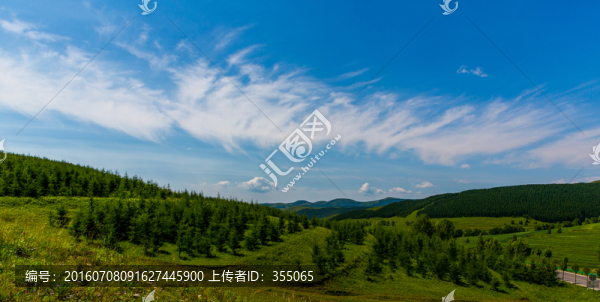 塞北林場