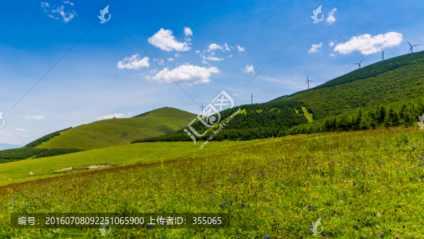 塞北林場