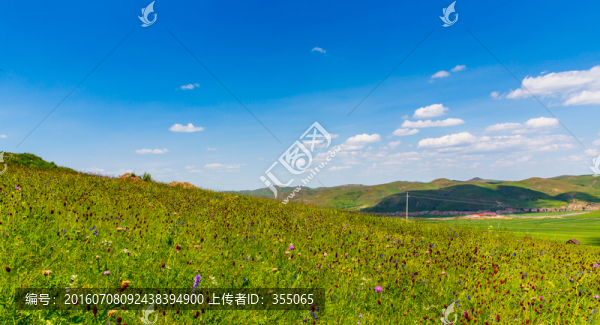 塞北林場