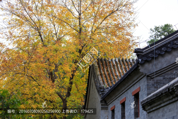 北京大學(xué)校園風(fēng)光鏡春園古建筑