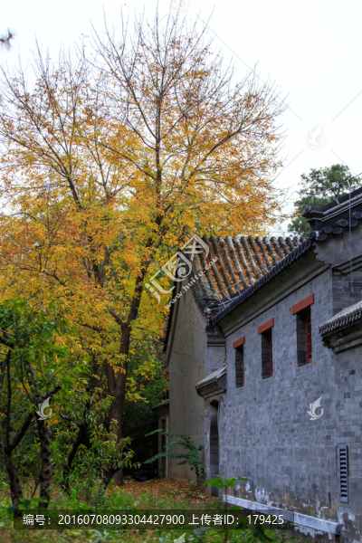 北京大學(xué)校園風(fēng)光鏡春園古建筑