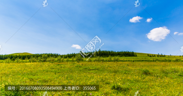 塞北林場(chǎng)