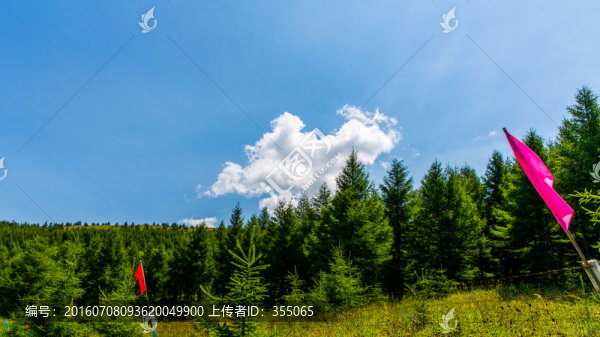 塞北林場(chǎng)