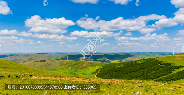 塞北林場(chǎng)