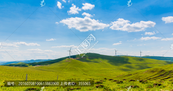 塞北林場