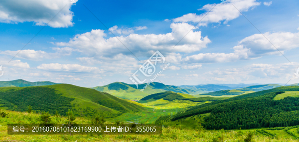 塞北林場(chǎng)
