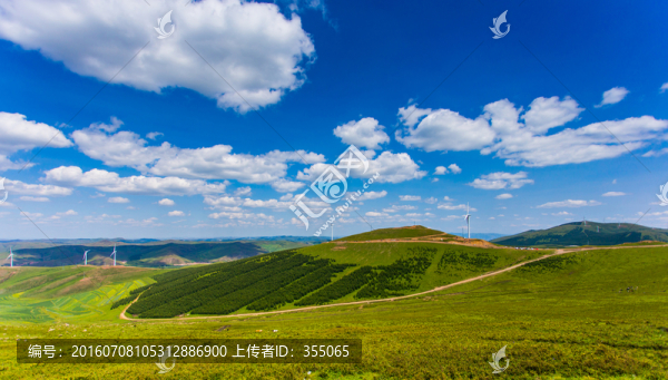 塞北林場(chǎng)