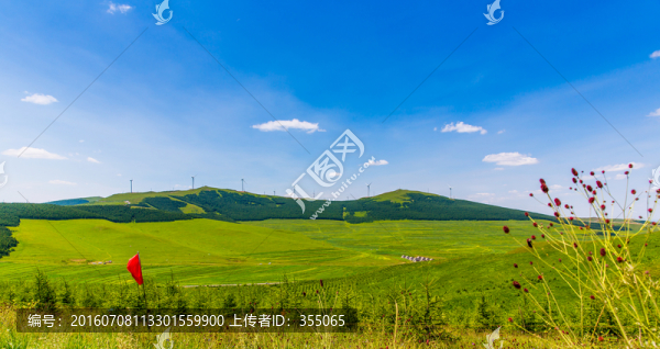 塞北林場