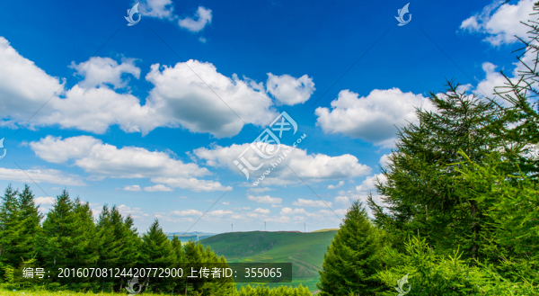 塞北林場