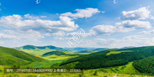 塞北林場(chǎng)