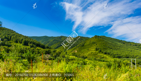 塞北林場