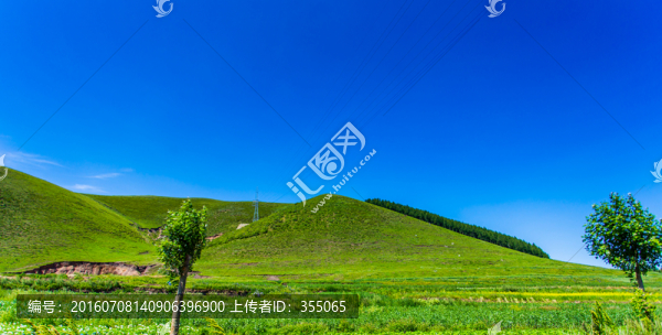 塞北林場
