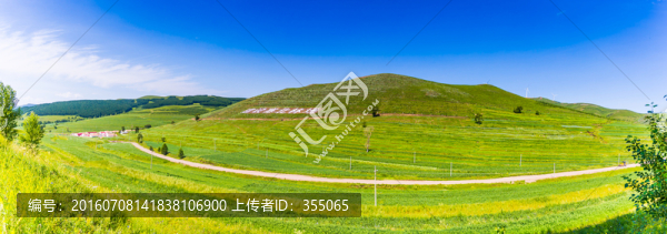 塞北林場