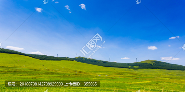 塞北林場