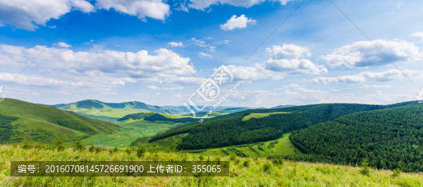 塞北林場
