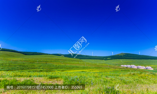 塞北林場